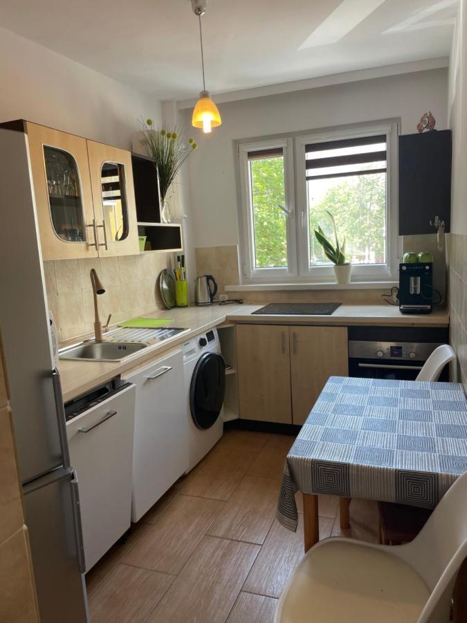Apartament Lopuskiego 16 코워브제크 외부 사진