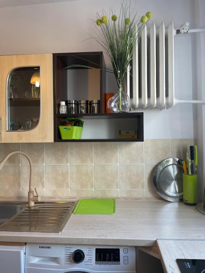 Apartament Lopuskiego 16 코워브제크 외부 사진